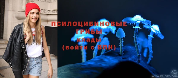 PSILOCYBIN Аркадак