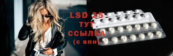 PSILOCYBIN Аркадак
