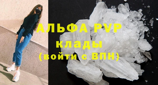 PSILOCYBIN Аркадак
