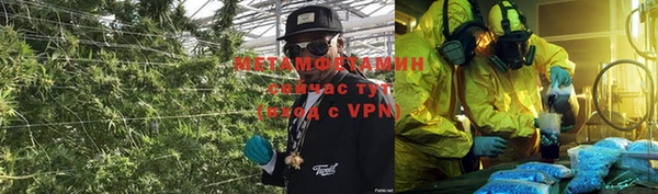 PSILOCYBIN Аркадак