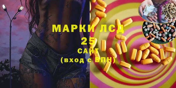 PSILOCYBIN Аркадак