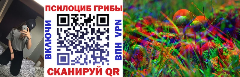 купить цена Советск Галлюциногенные грибы Psilocybine cubensis