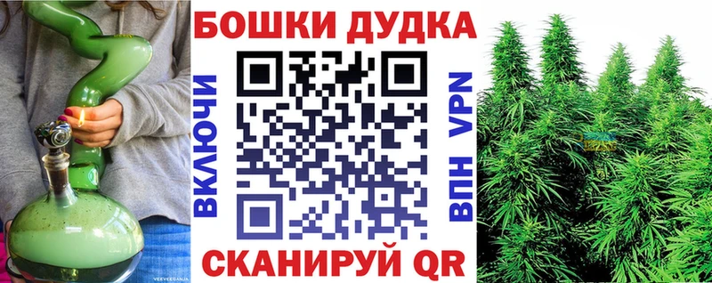 Канабис семена где продают Советск
